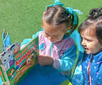 Cultivando la pasión por la lectura en la primera infancia Estrategias para generar la lectura y el amor por los libros en nuestro Jardín Infantil