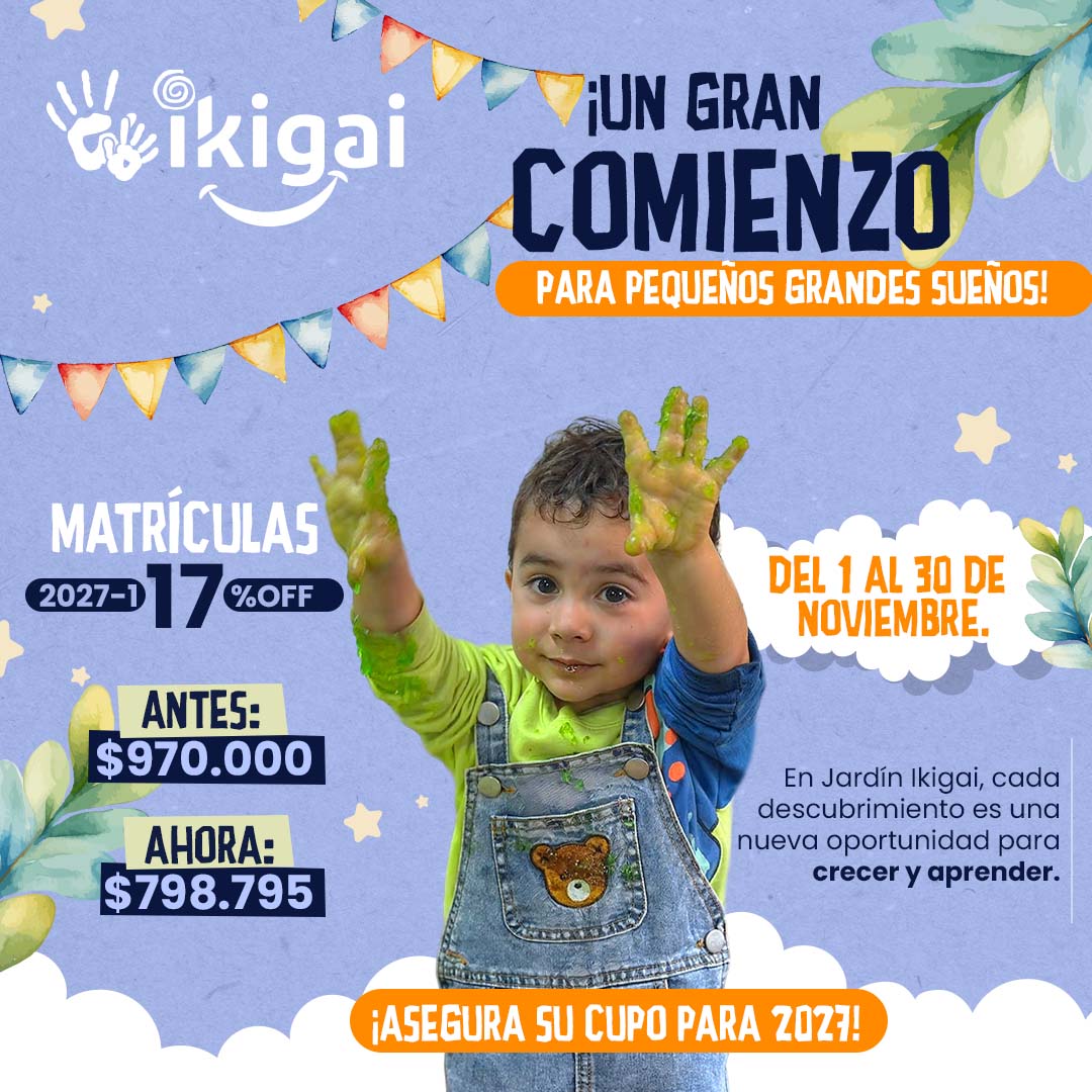 promo noviembre cuadrada ikigai